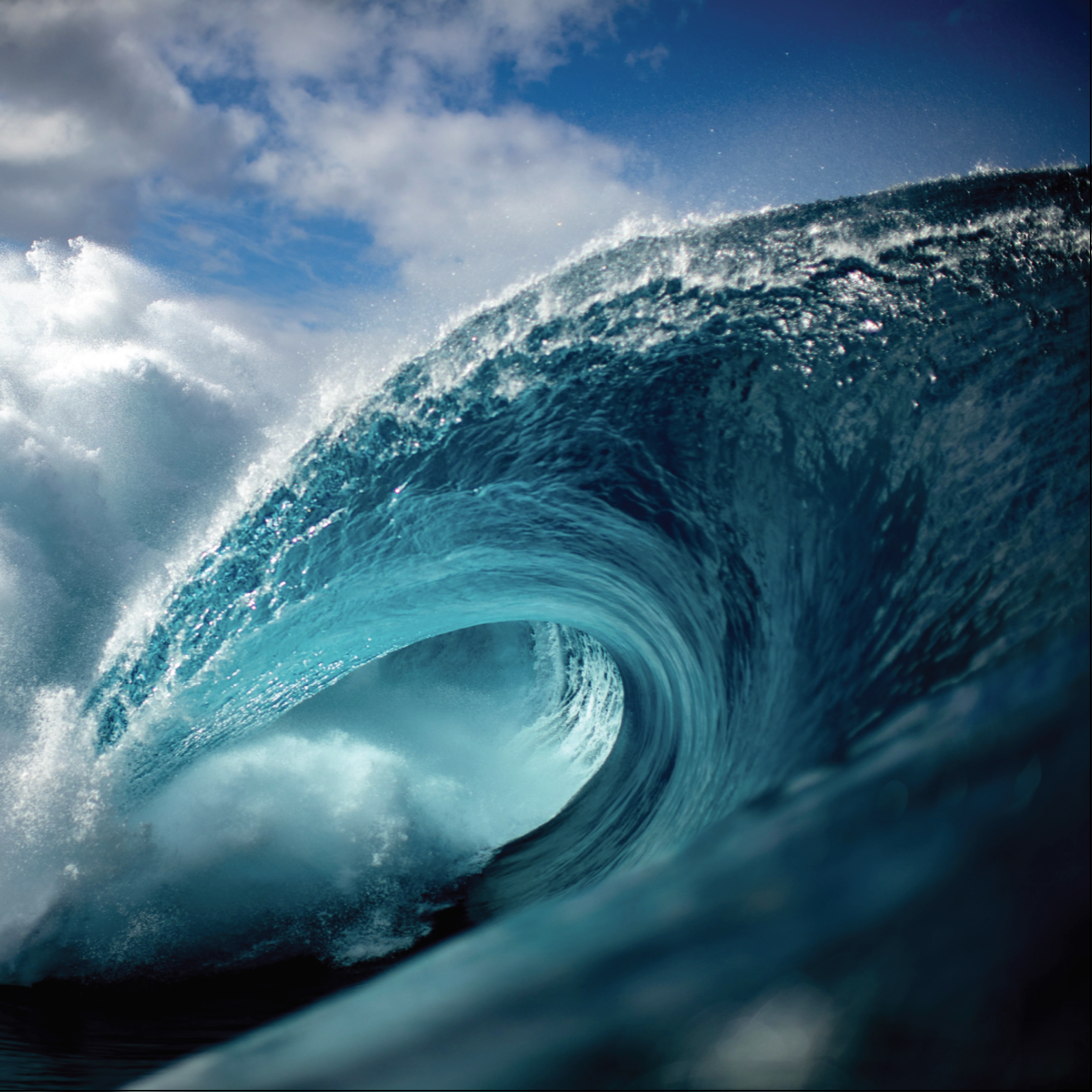 Zak Noyle
