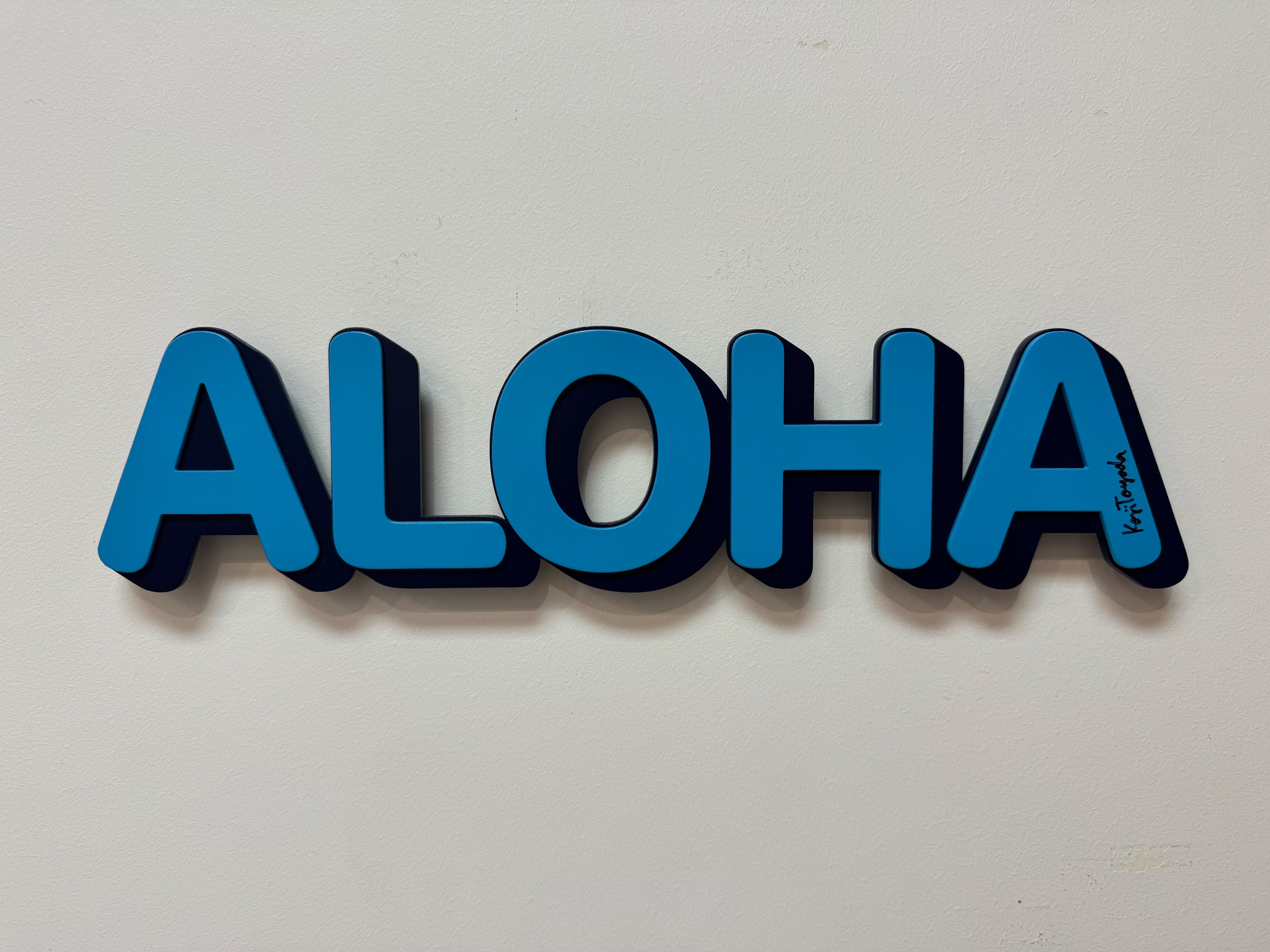 sho watanabe aloha vw bus 渡辺将 グリーンルームハワイ JAPAN