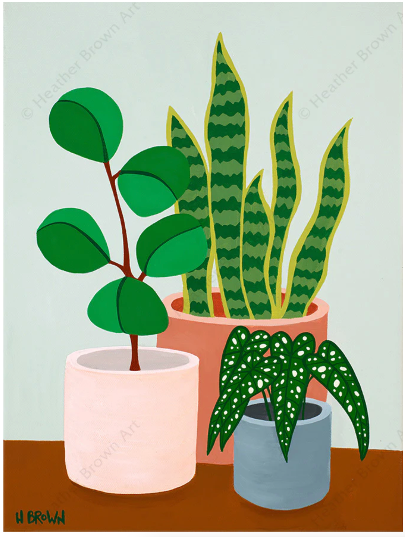Plant #2602