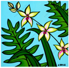 Orchid