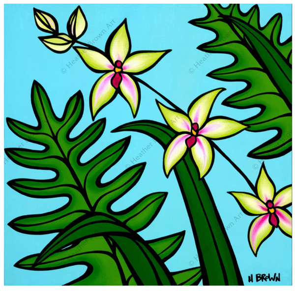 Orchid
