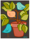 Untitled #2633 (playful birds)