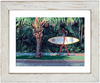Coconut St.