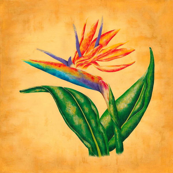 Bird of Paradise - Original