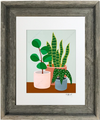 Plant #2602