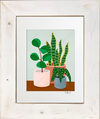 Plant #2602