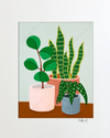 Plant #2602