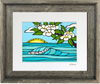 Plumeria Sunrise