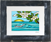 Plumeria Sunrise