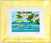 Plumeria Sunrise
