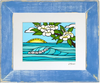 Plumeria Sunrise