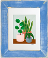 Plant #2602