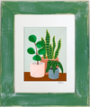Plant #2602